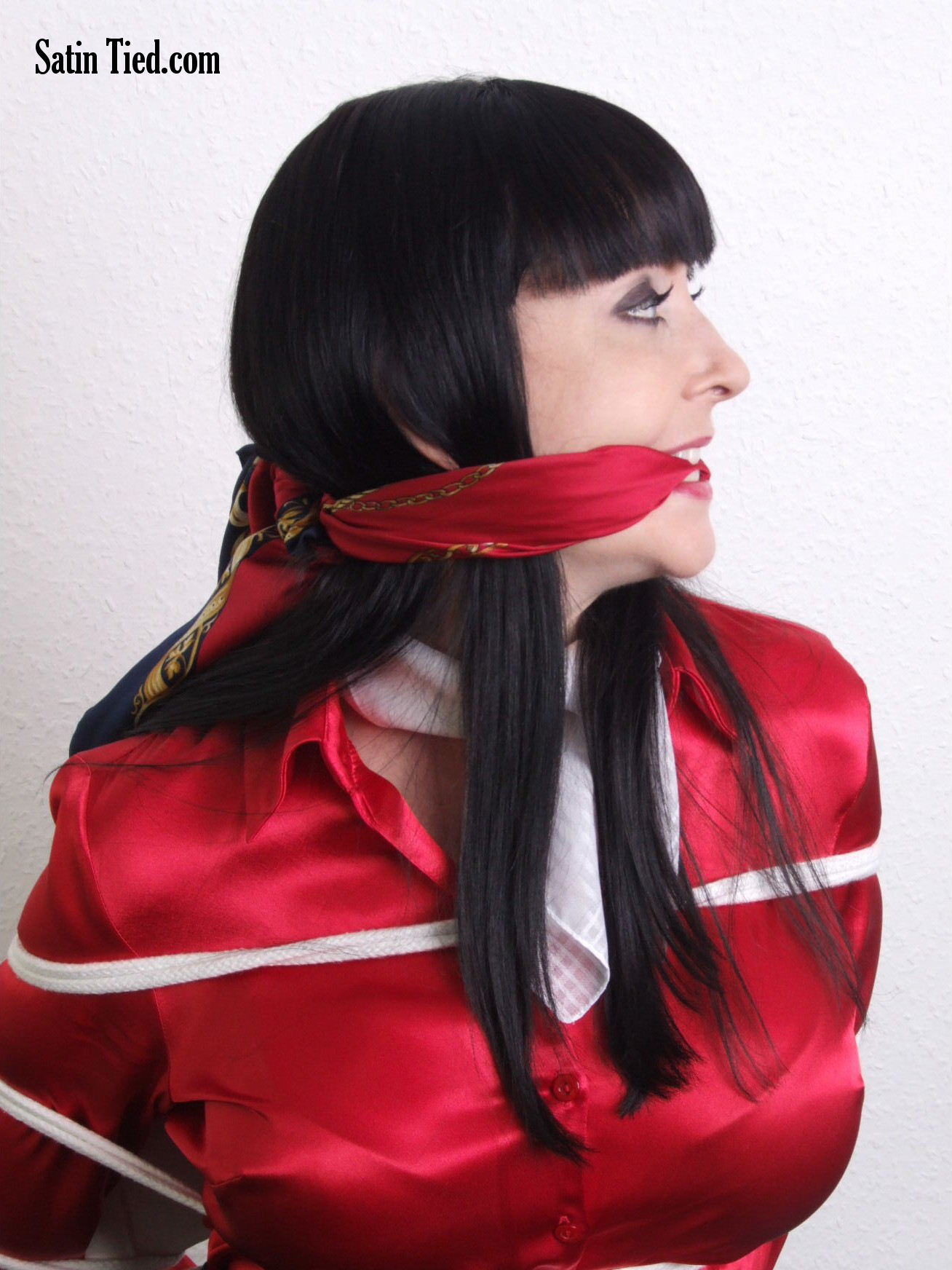Satin Tied: A Night in Red Satin 3
