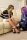 Bondage Bobthumbnail 3