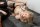 Bondage Bobthumbnail 4
