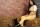Ridingboots.netthumbnail 4