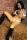 Ridingboots.netthumbnail 0
