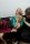 Bondage Bobthumbnail 2