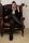 Roswell Ivory in ridingboots.thumbnail 2