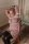 Jade Samantha in bondage.thumbnail 3