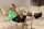 Tillie in bondage.thumbnail 1