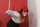 Domme Dominatorthumbnail 1