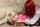Chloe Toy & Temptress Kate in bondage.thumbnail 4