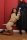 Bianca J & Temptress Kate in bondage.thumbnail 4