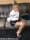 Hogtied in Satin and Leather 1thumbnail 3