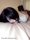 Amelia in Soft Focus 2thumbnail 1