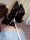 Bound Feetthumbnail 3