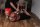 Temptress Kate in bondage.thumbnail 0