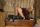 Ridingboots.netthumbnail 1