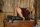 Ridingboots.netthumbnail 2