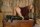 Ridingboots.netthumbnail 3