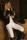 Ridingboots.netthumbnail 1